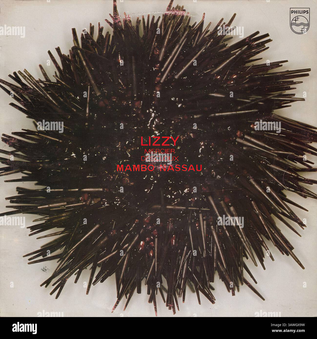 帯付国内盤Lizzy Mercier Descloux Mambo Nassau Lizzy mercier descloux hi-res stock photography and images - Alamy