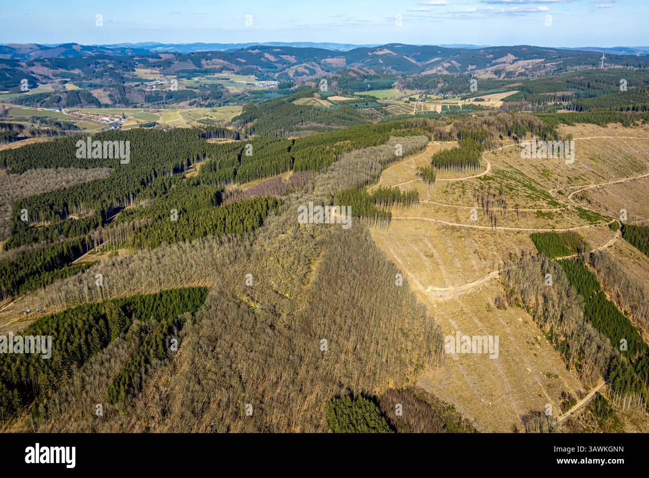 Luftbild, Albaumer Klippen, Felsgruppe im Naturschutzgebiet NSG, Albaum ...