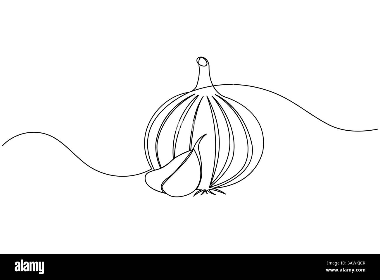 Garlic continuous one line drawing and minimalist style isolate outline ...