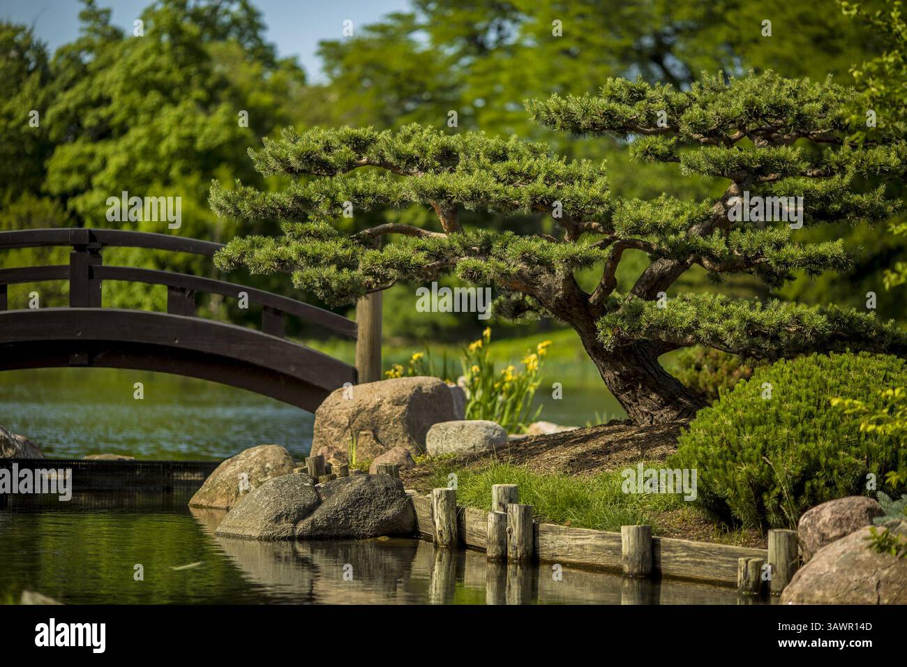 Chicago, Jackson Park Japanese Garden Stock Photo - Alamy