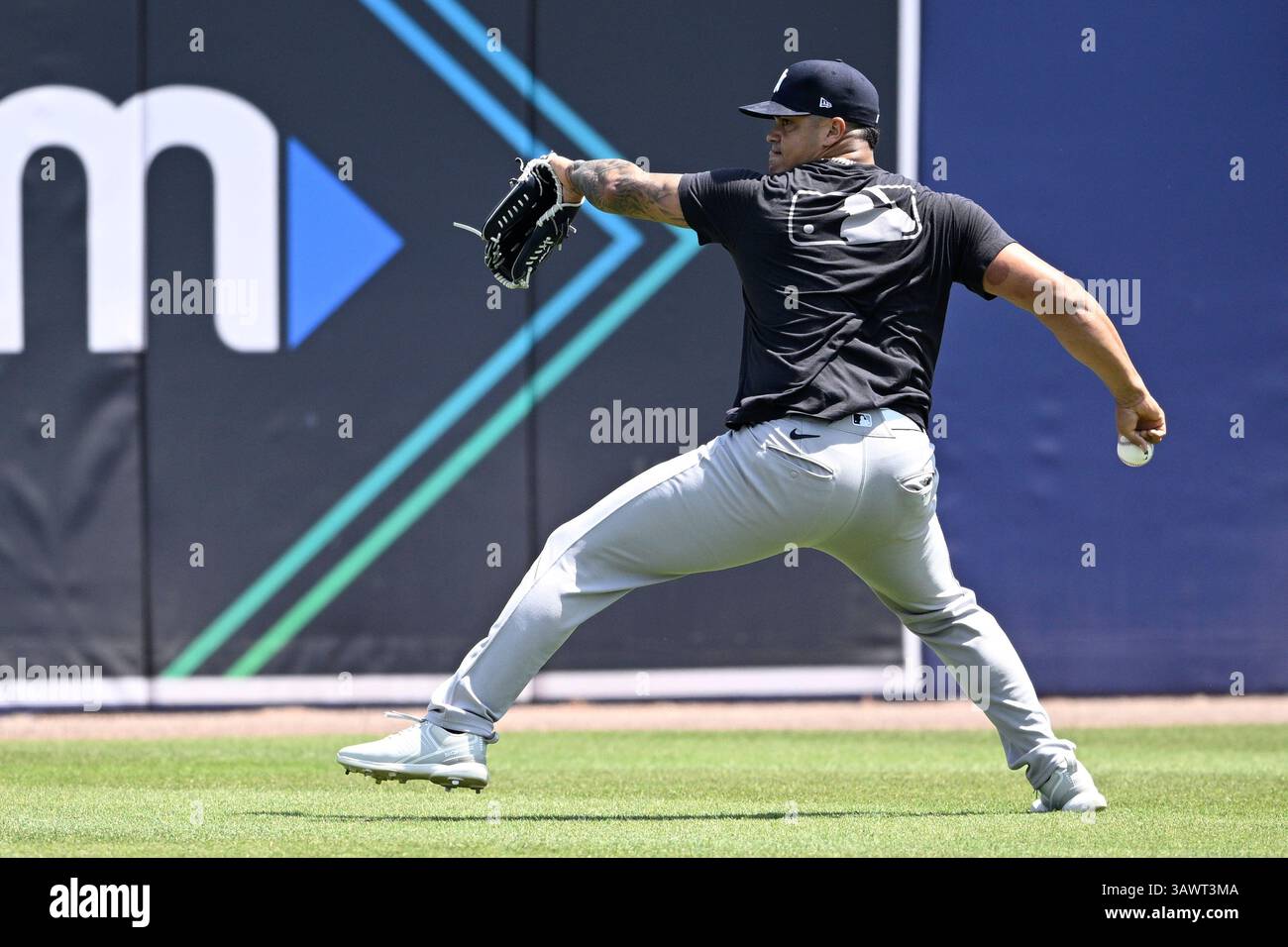 New York Yankees pitcher Fernando Cruz throws in the outfield before a ...