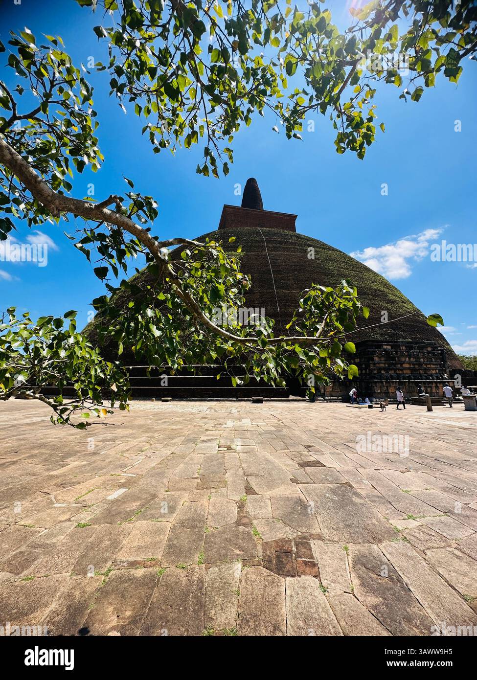 Sacred stupa near the ancient Bodhi tree in Anuradhapura, Sri Lanka. A peaceful and spiritual scene capturing the essence of Sri Lankan Buddhist. - Smartphone Captured Stock Image