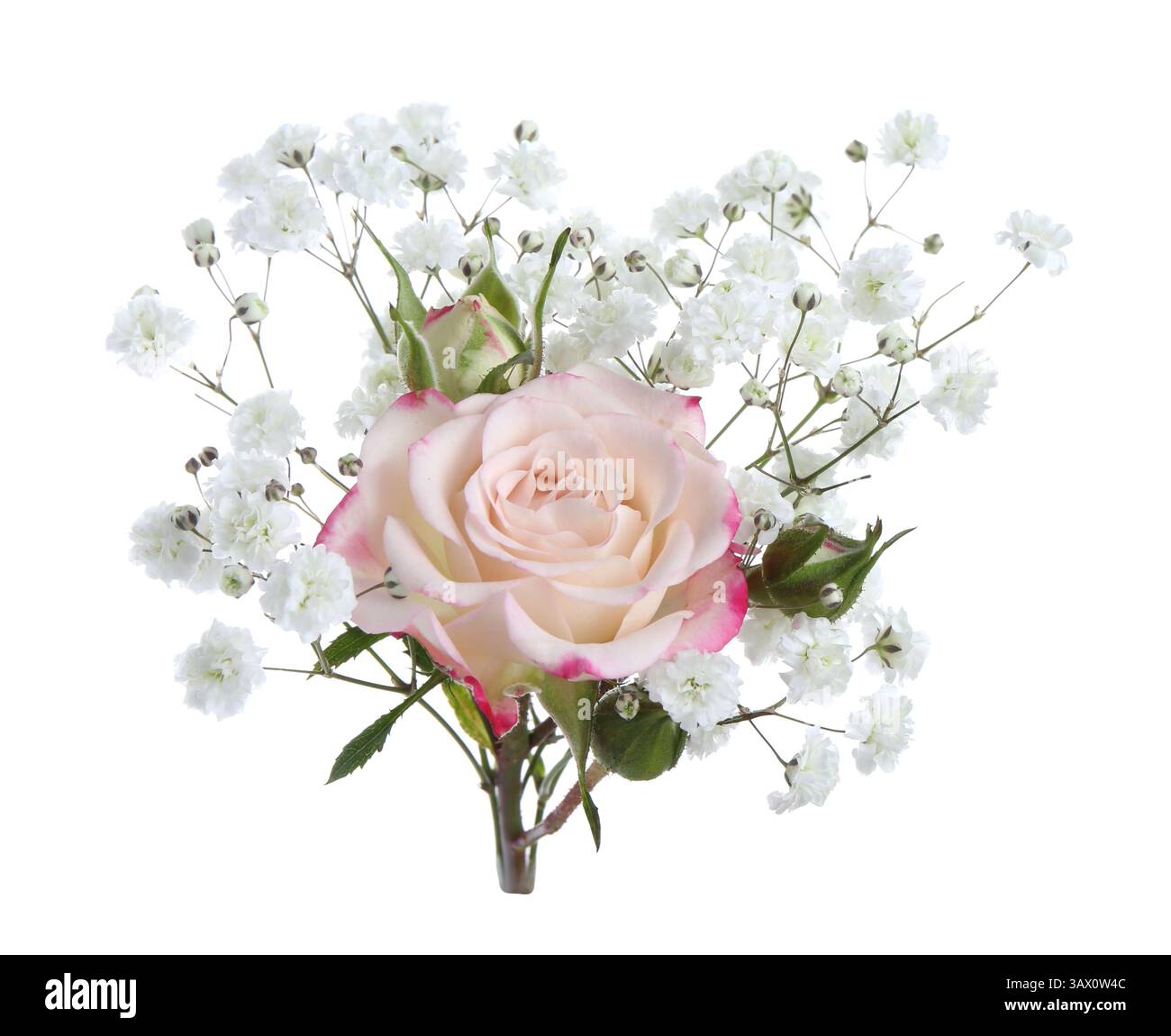 Bouquet with beautiful gypsophila and rose on white background Stock ...