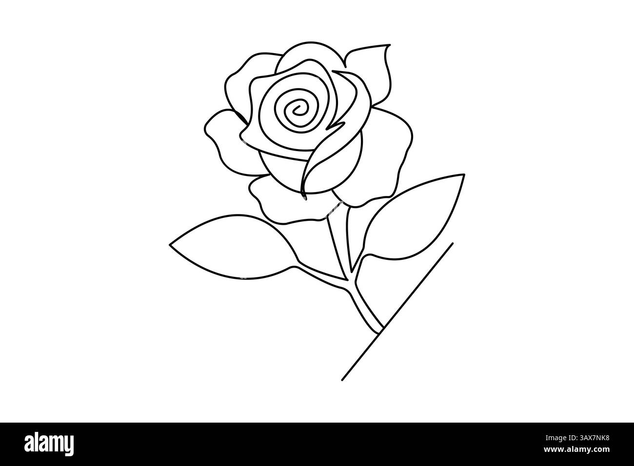 Minimalist rose flower continuous one line art vector illustration ...