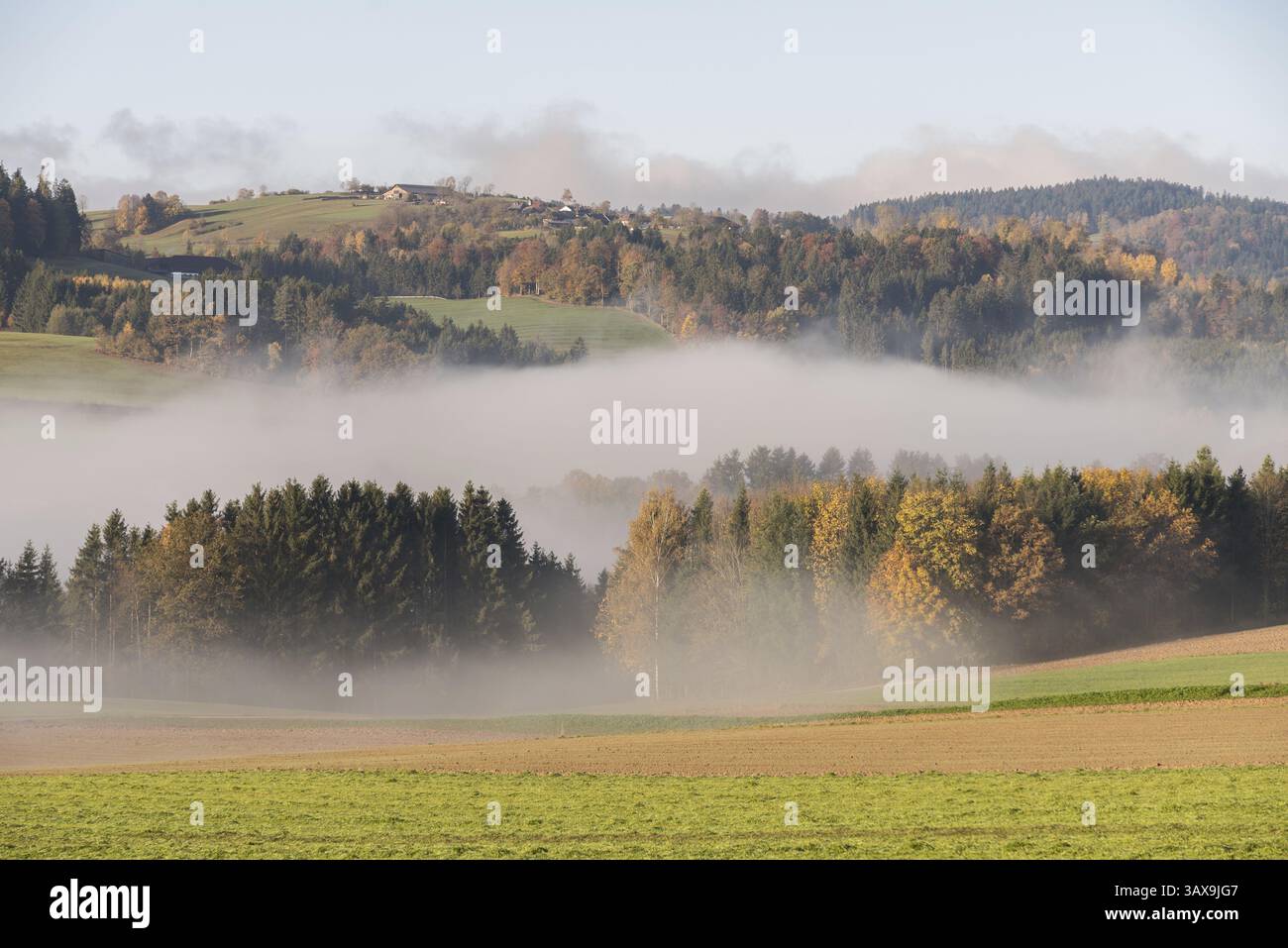 Bright and beautiful autumn landscape from the Bohemian Forest in the fog, Austria, Europe Stock Photo