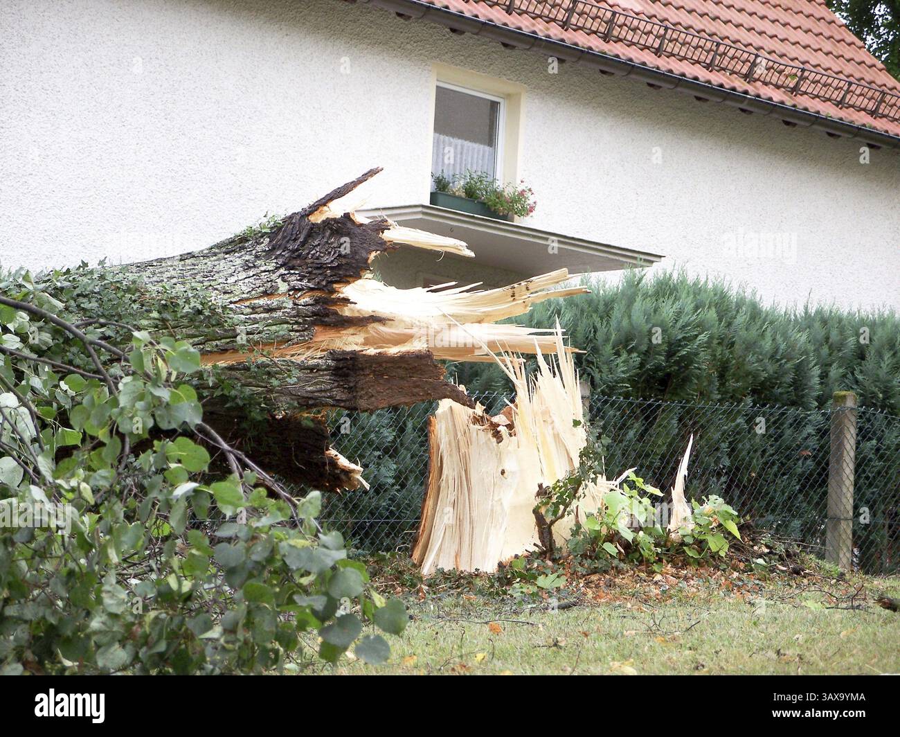 Ravage after a storm hi-res stock photography and images - Alamy