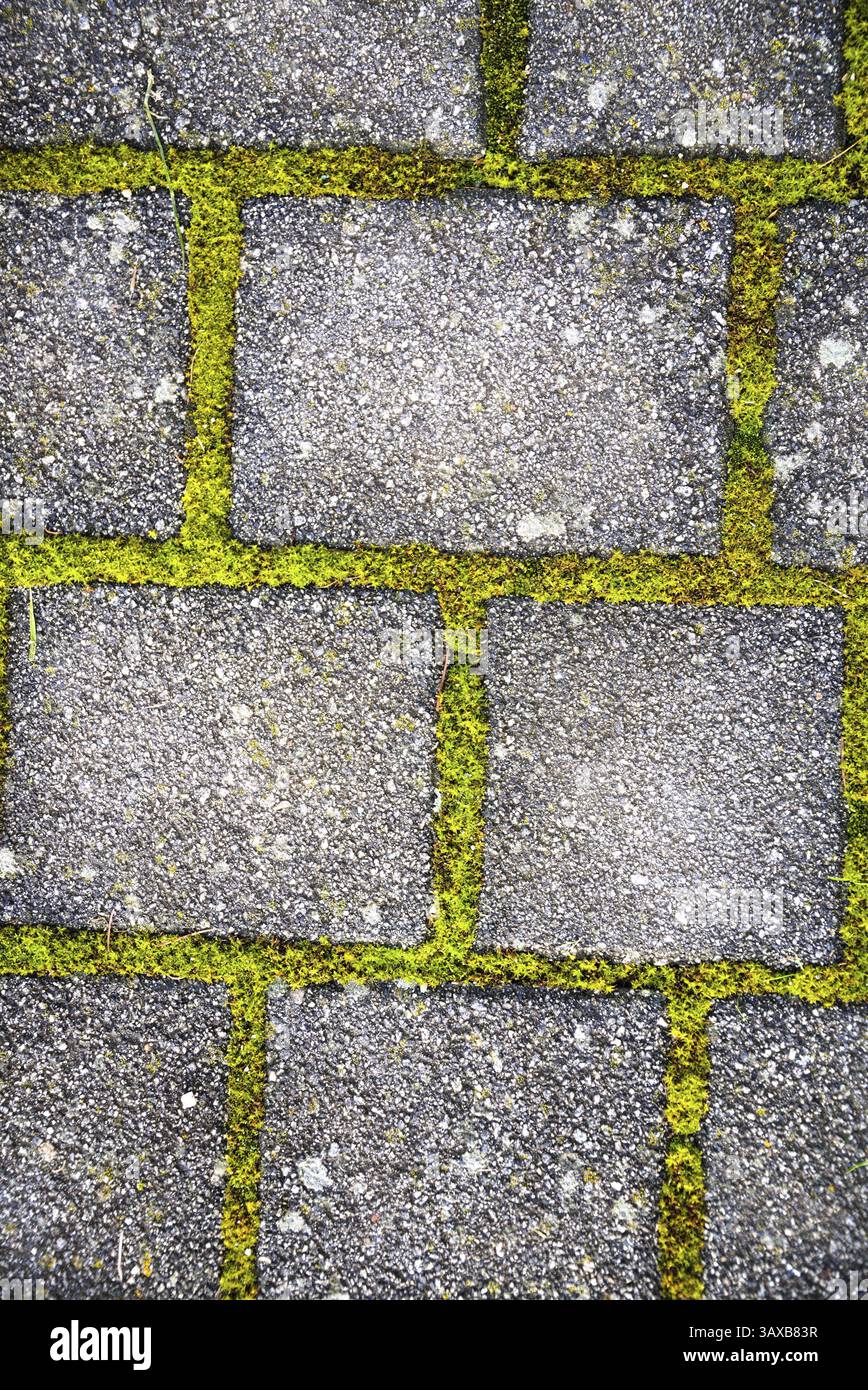 Grey paving stones with green overgrown joints - background grid pattern Stock Photo