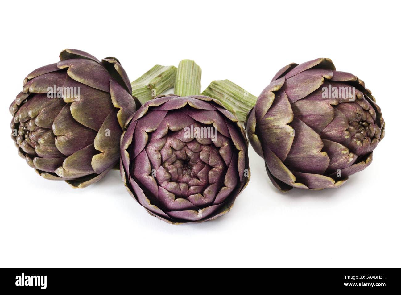 Three fresh artichokes on white background Three fresh artichokes on white background Stock Photo