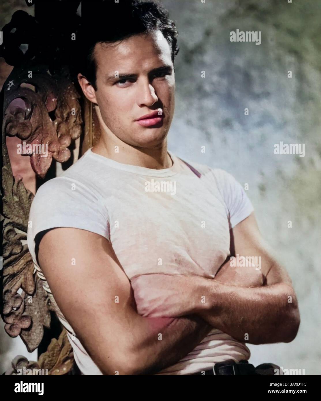 A STREETCAR NAMED DESIRE 1951 W Arner Bros Pictures Film With Marlon a-streetcar-named-desire-1951-w-arner-bros-pictures-film-with-marlon