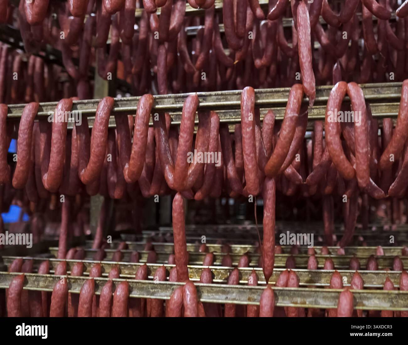 The sausage hangs on a rack in the sausage factory. production of ...