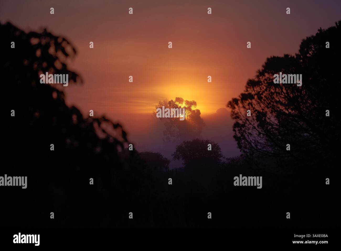 Sonnenaufgang im Nebel Südspanien Stock Photo