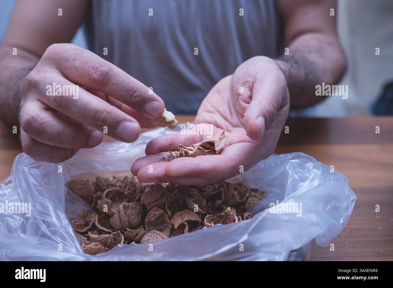 The man is cracking walnuts at home. Stock Photo