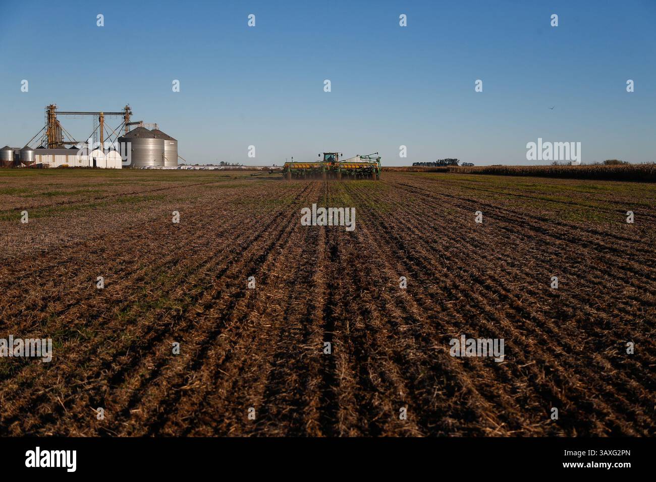 Siembra de trigo hi-res stock photography and images - Alamy