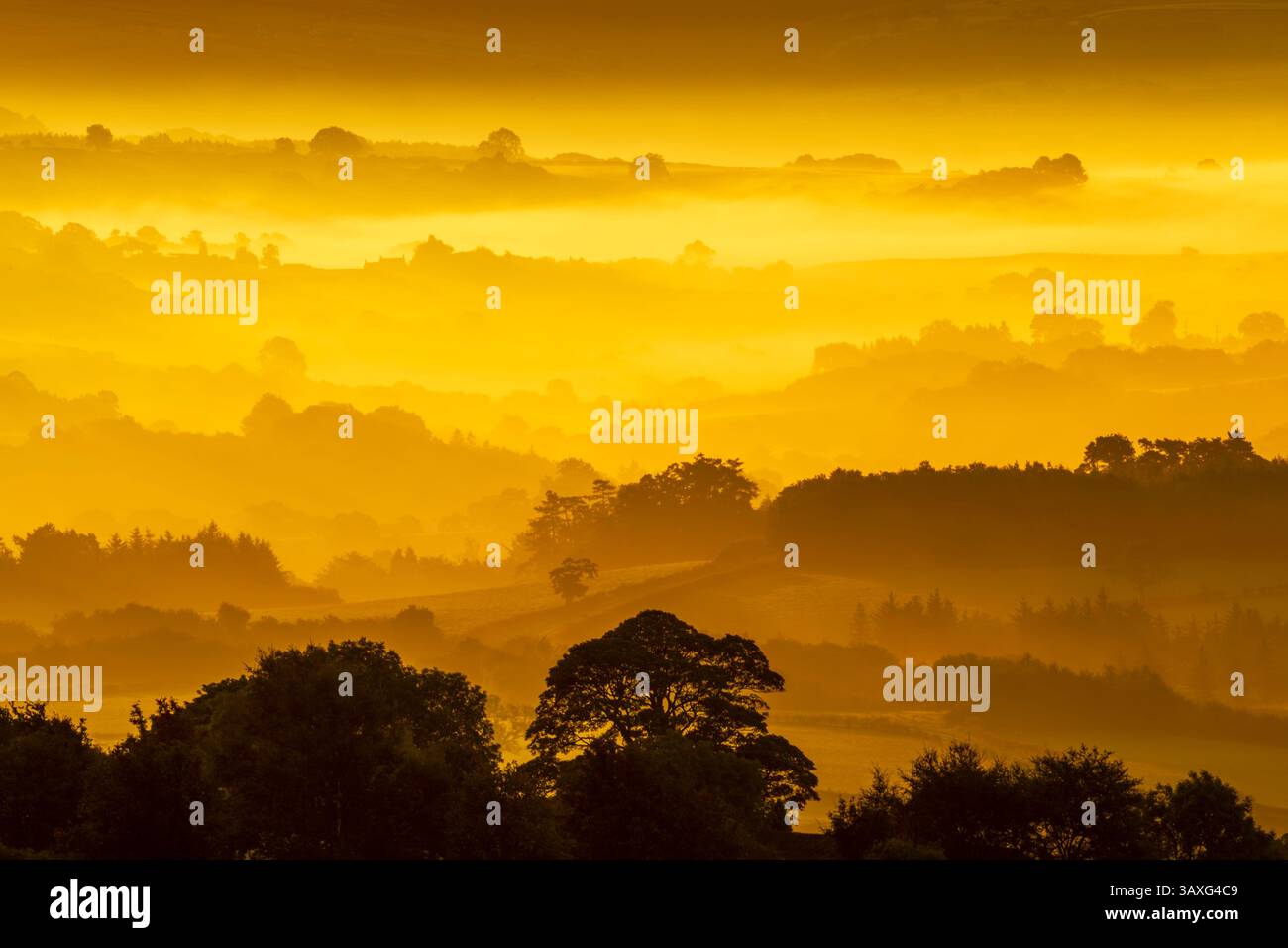 Early autumn sunrise view with the sun rising over low lying mist looking across the Esk valley within the North York Moors national park - Stock Image