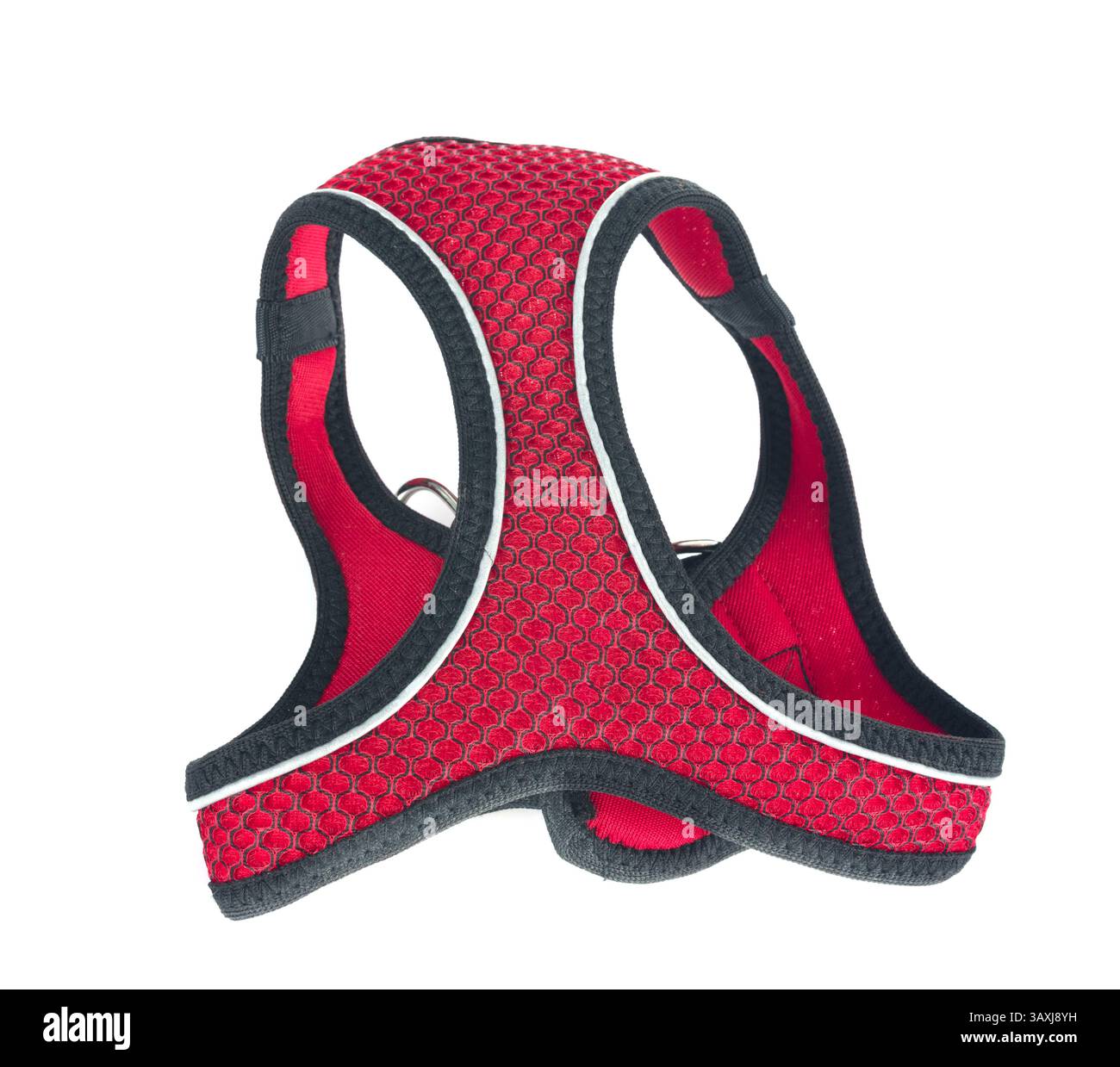 Leather harness hi-res stock photography and images - Alamy