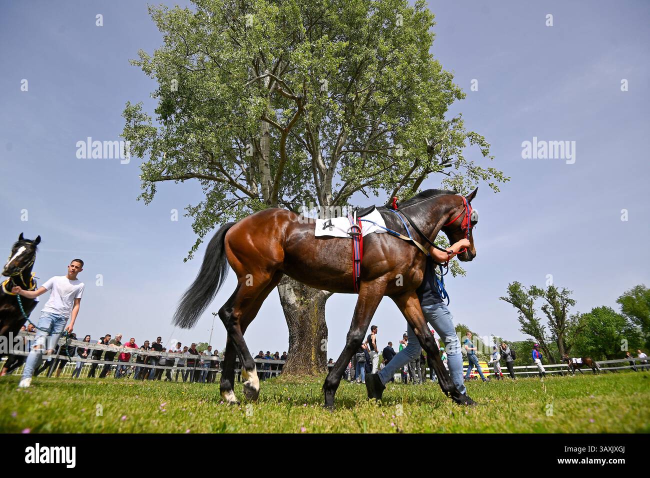 Zagreb, Croatia. 21st Apr, 2025. Horse Finiston prior to the ...