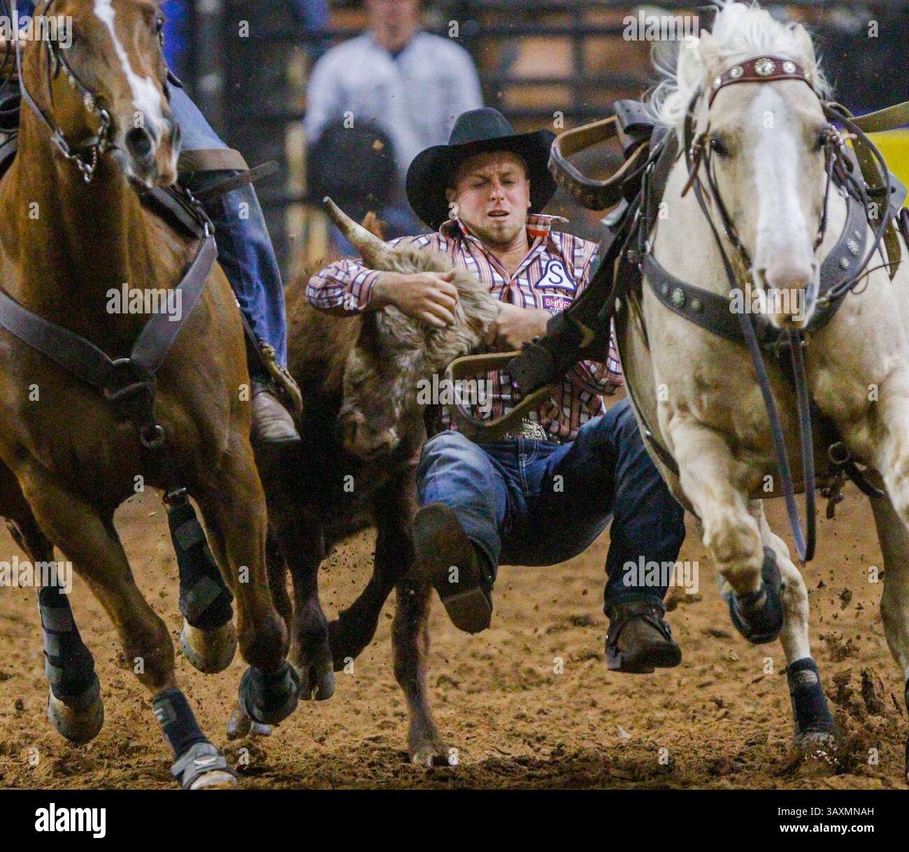 Silver spurs rodeo kissimmee hi-res stock photography and images - Alamy