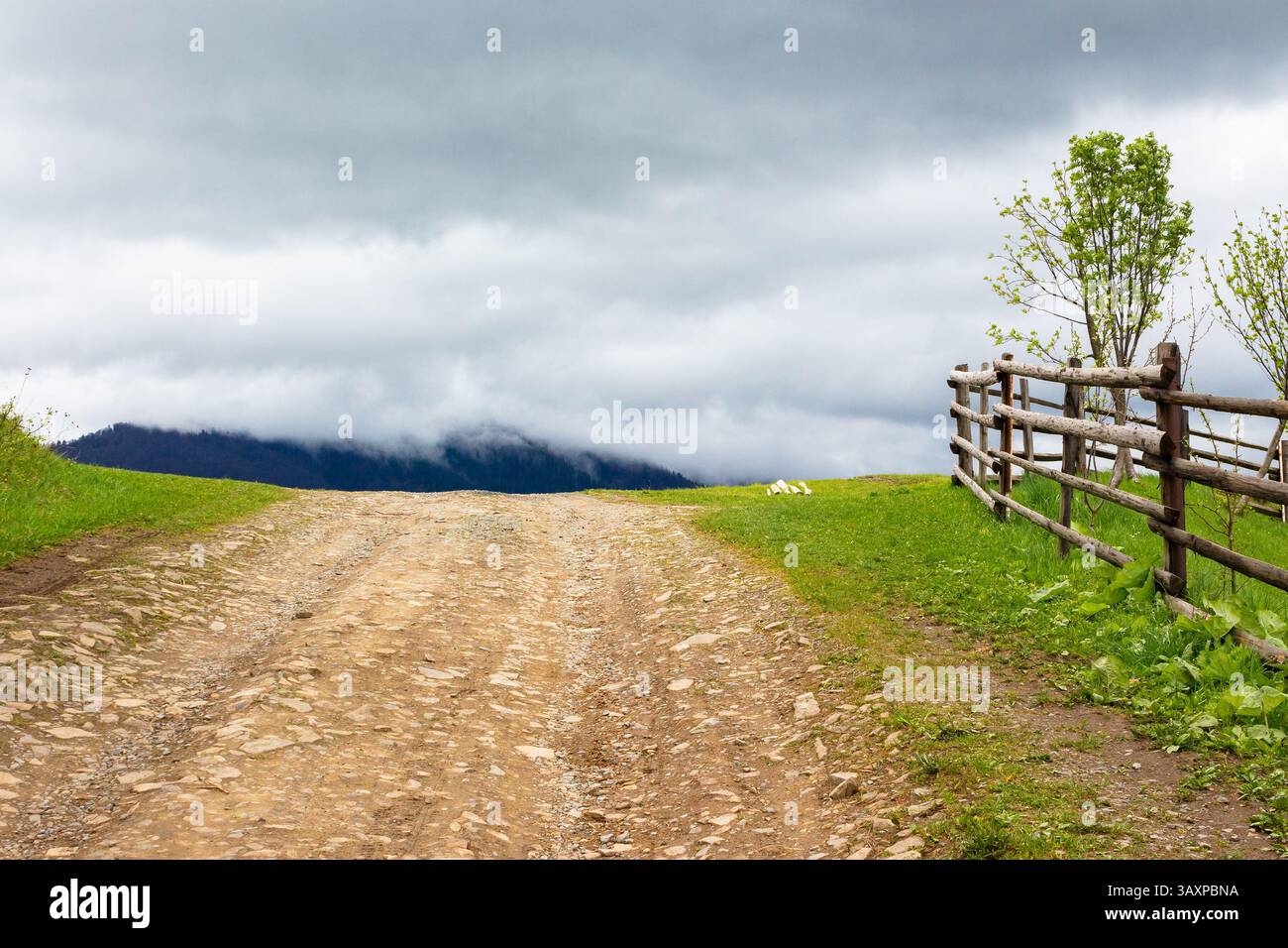 countryside mountain landscape in spring. green nature with cloudy sky. beautiful view with fence along the path through hill in the rain for tourism. Stock Photo