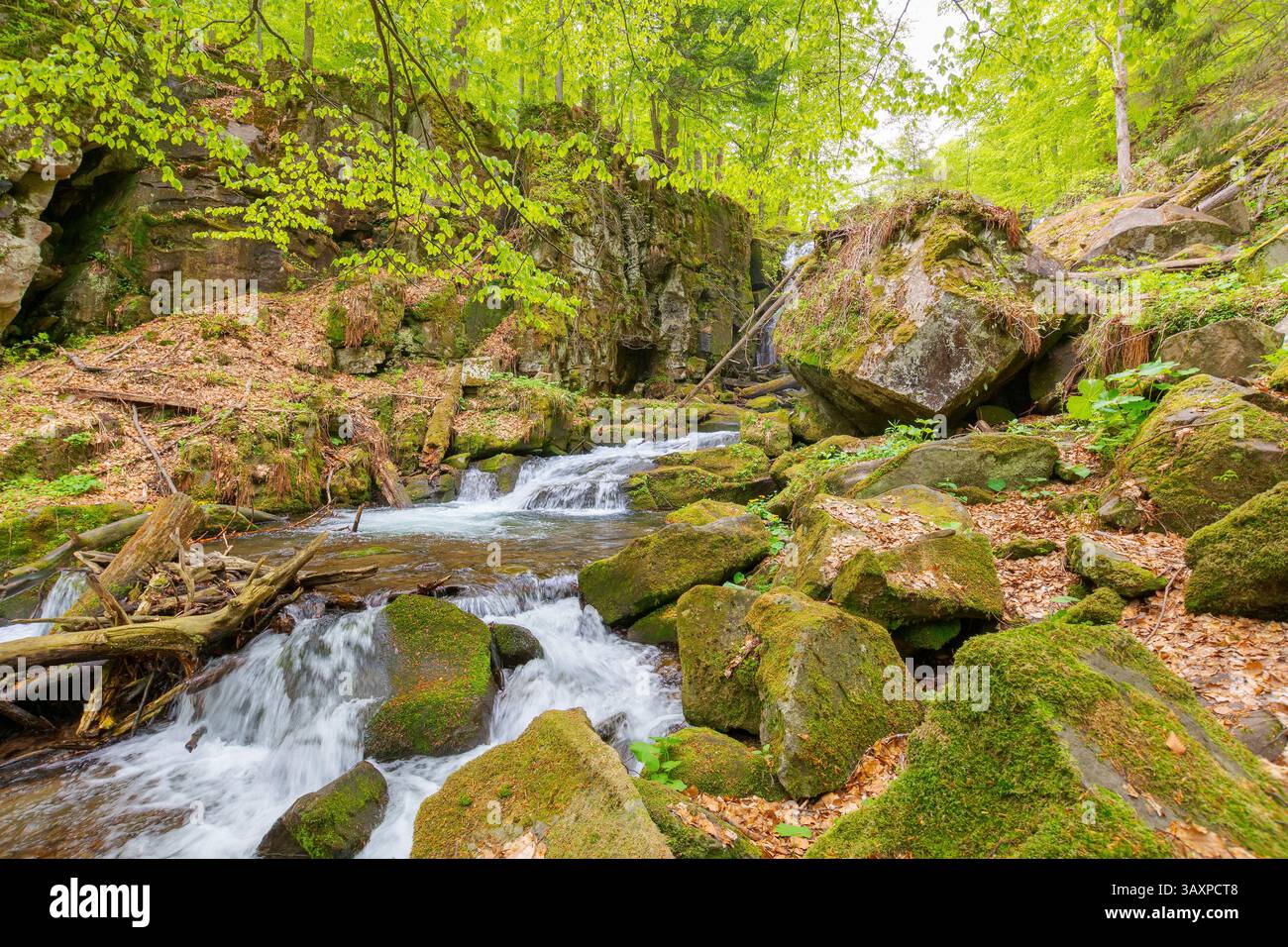 landscape with river among rock in forest. clear water stream in nature green environment. beautiful natural park scenery near wild waterfall in sprin Stock Photo