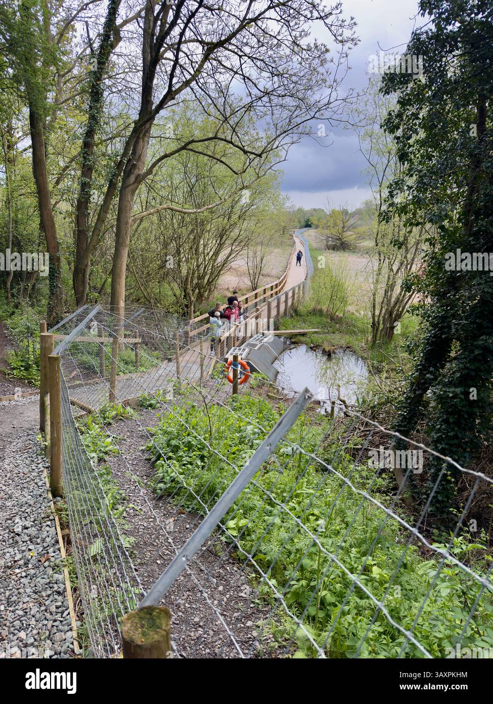 Beaver reintroduction enclosure on the old riverbed nature reserve in Shrewsbury. - Smartphone Captured Stock Image