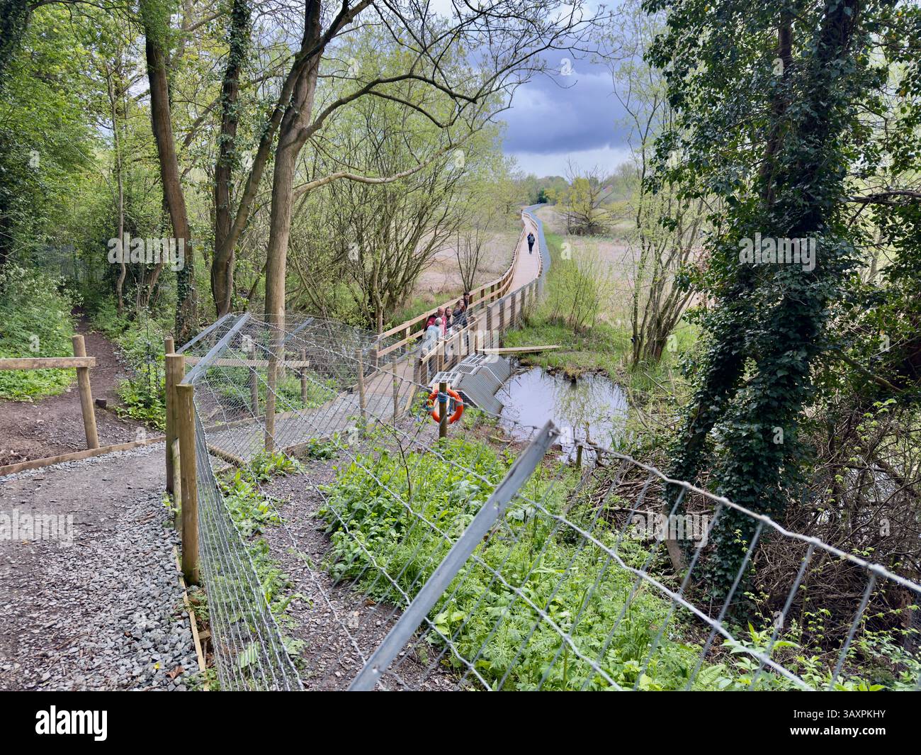 Beaver reintroduction enclosure on the old riverbed nature reserve in Shrewsbury. - Smartphone Captured Stock Image