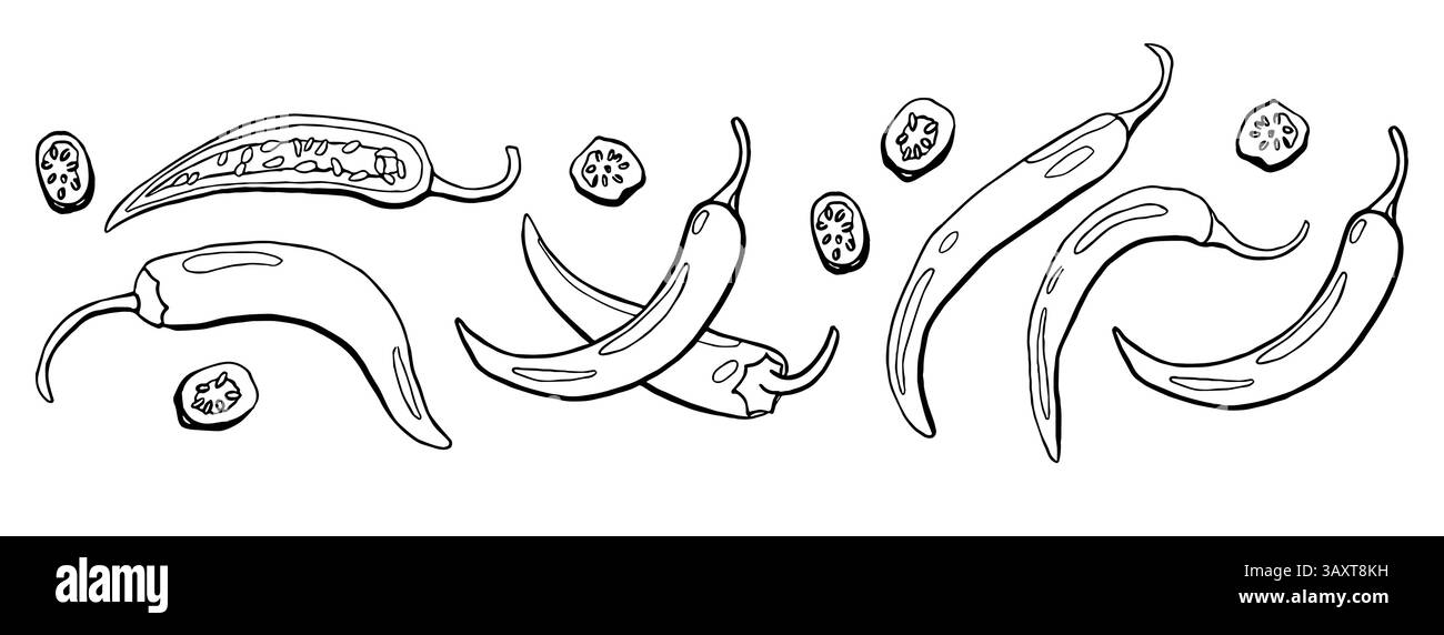 Hand drawn chili pepper set in line style. Vector illustration isolated ...