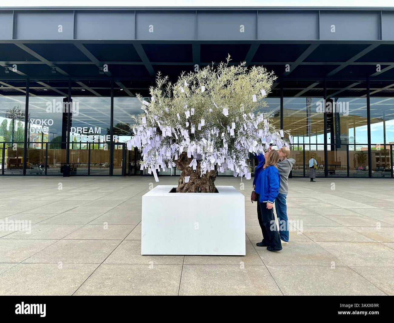 The interactive art installation wish tree with two people looking at the paper tags in front of the Neue Nationalgalerie in Berlin, Germany, 2025 - Smartphone Captured Stock Image