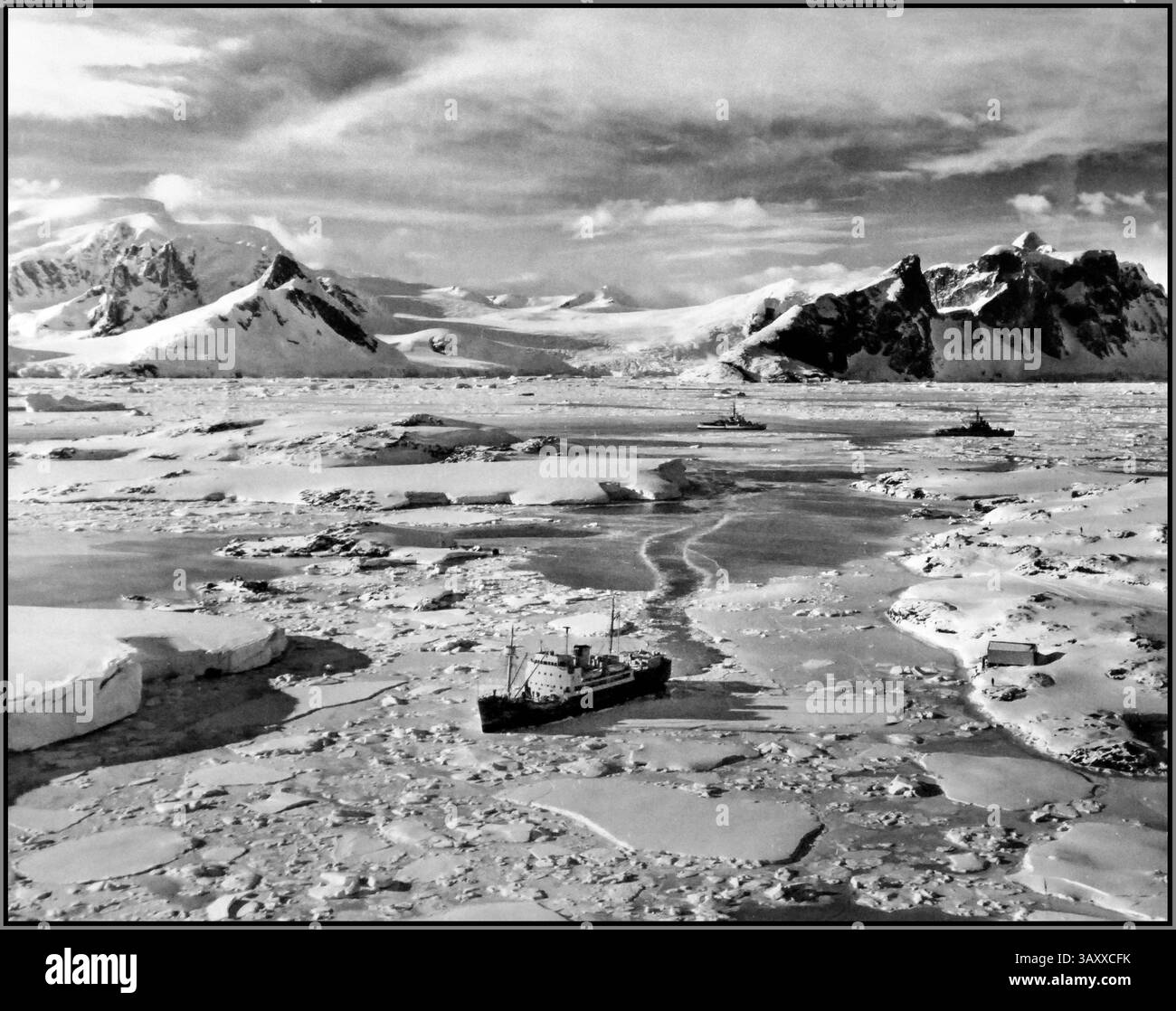 ANTARCTIC 1950s RESCUE U.S. Navy Rescues British Ship in Antarctica. British research ship John Biscoe lies at anchor off the British Antarctic Base. Icebreakers have cut a path to free the icebound British ship. In the background, U.S. icebreakers Edisto and Northwind are shown Stock Photo