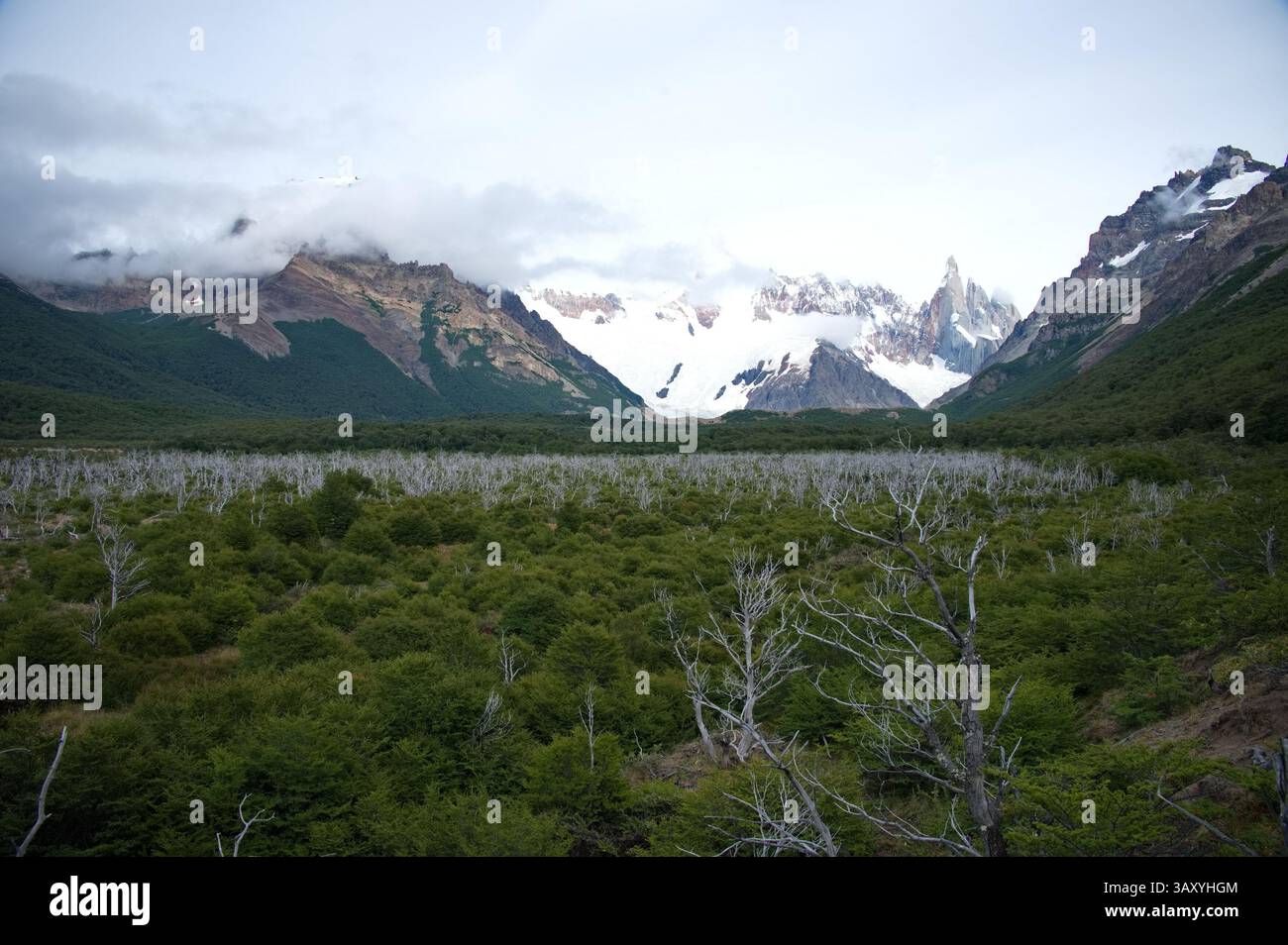 Scenic landscape of Los Glaciares national Park in Argentina Stock ...