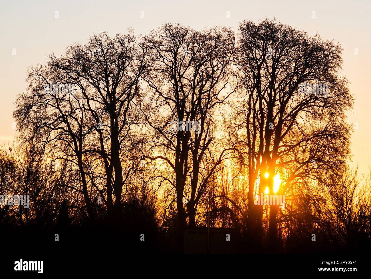 Sun rising behind stand hi-res stock photography and images - Alamy