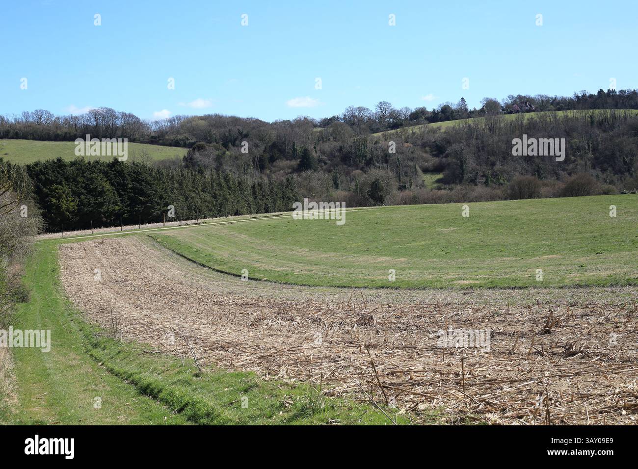 Footpath on field margin in the Kent Downs National Landscape near Pett ...