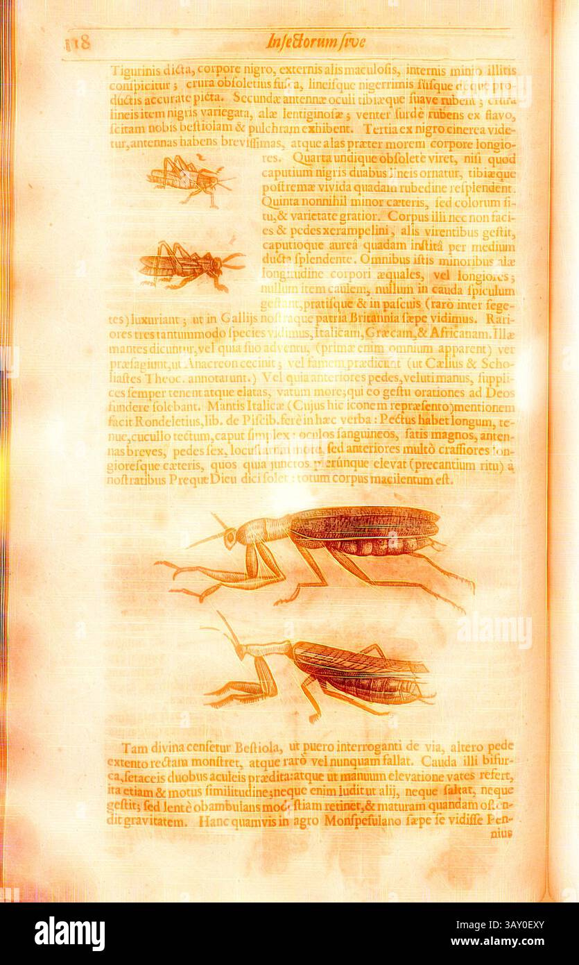 Depicted Insect A detailed illustration of various insects accompanied by descriptive ...