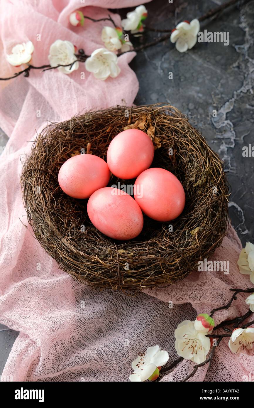 Pink Easter eggs nestled in a bird's nest with spring cherry blossoms ...