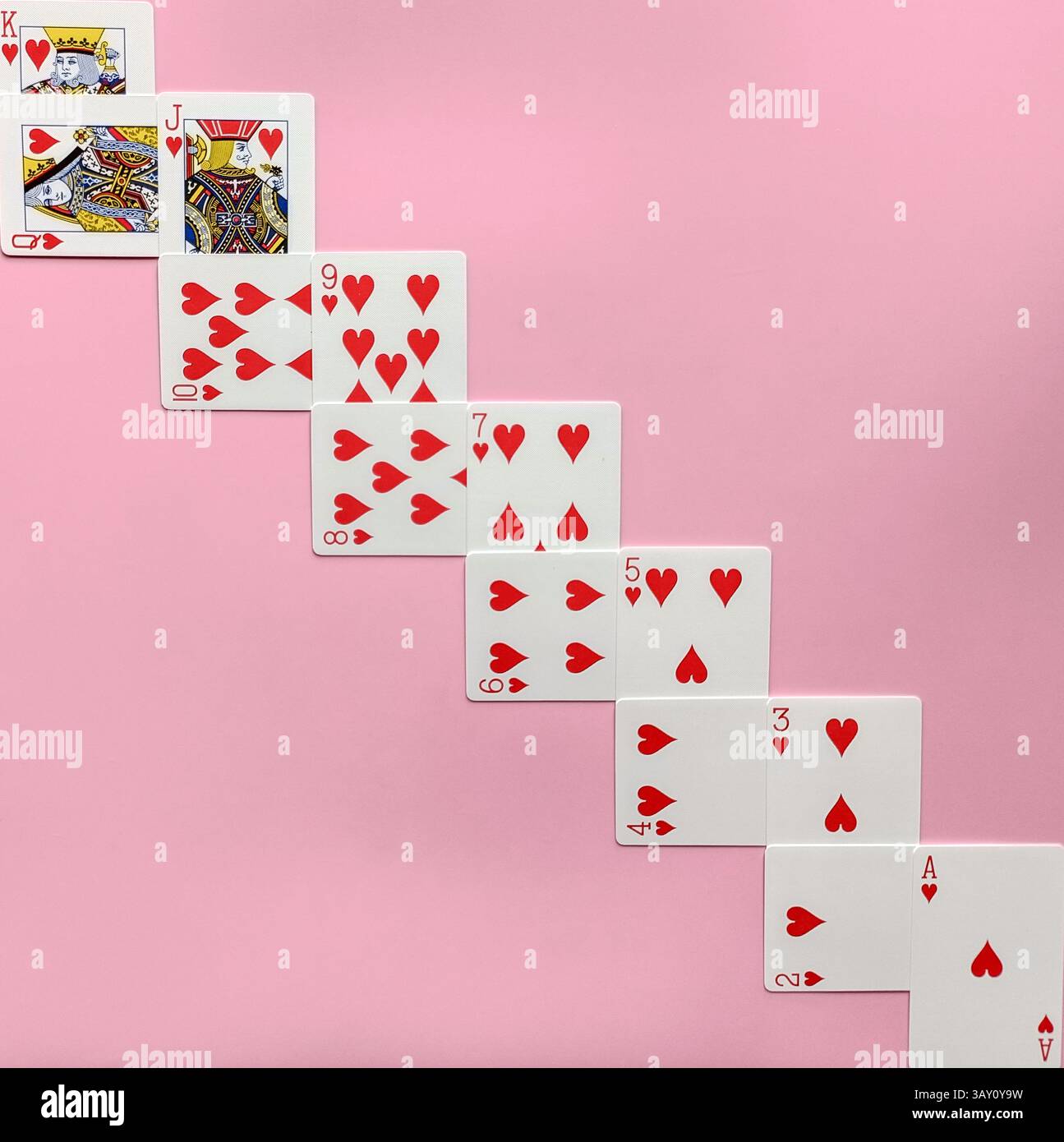 playing cards arranged in a descending order against a pink background.The cards,all of the hearts suit,start with the King and descend to the Ace - Smartphone Captured Stock Image