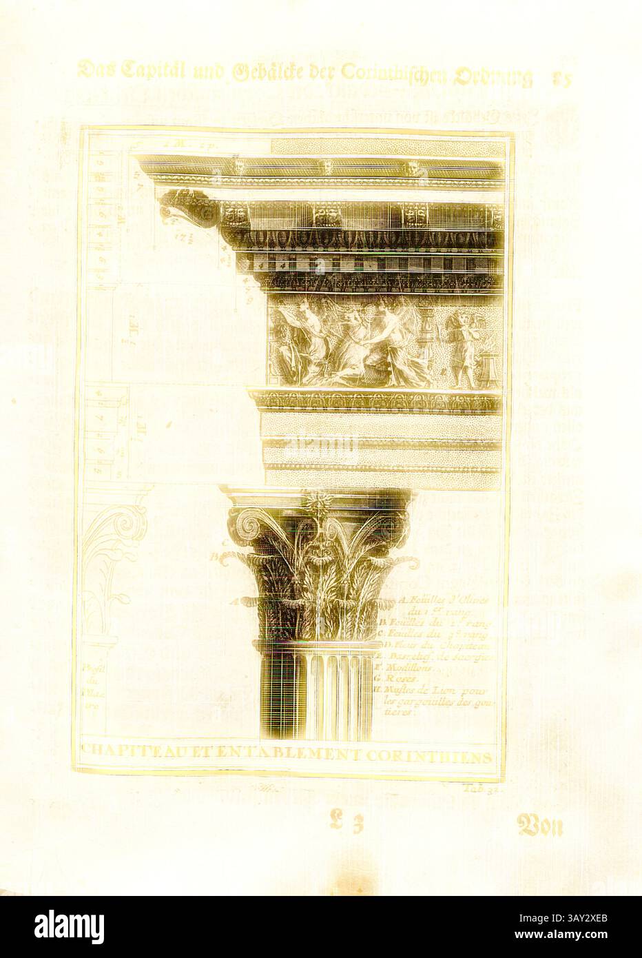 A detailed architectural illustration highlighting a Corinthian capital ...