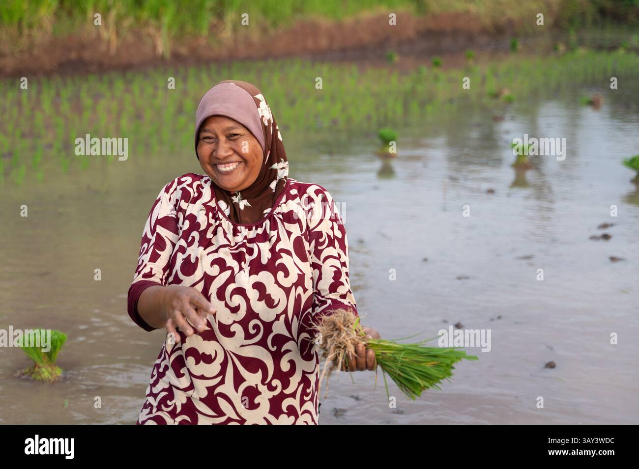 A joyful woman stands in an Indonesian rice field, smiling warmly as ...