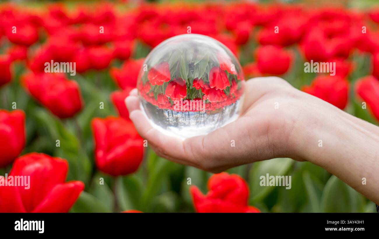 Optical symmetry distortion hi-res stock photography and images - Alamy