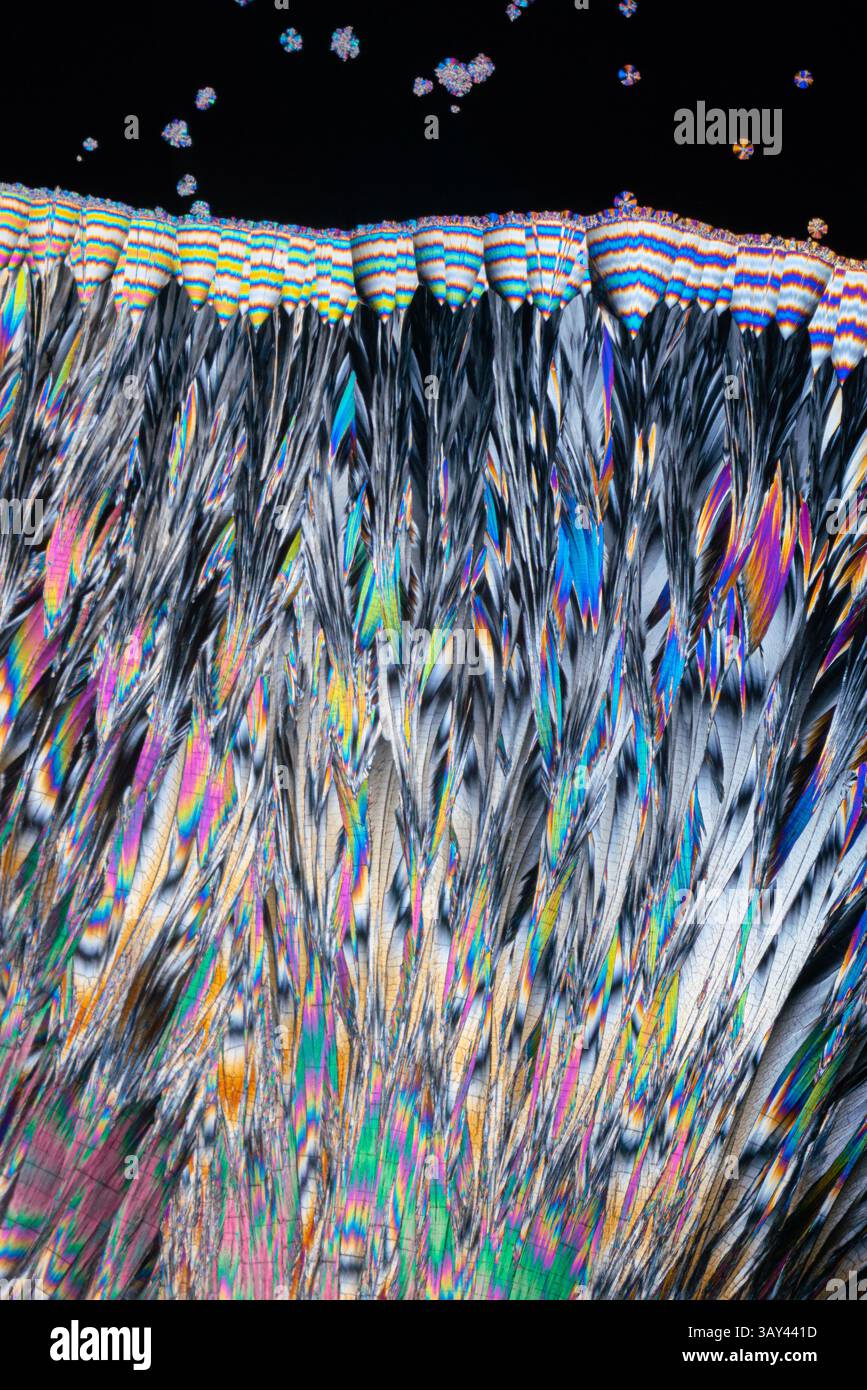 A vivid image showcasing the striking, spectrum like colors of hippuric ...