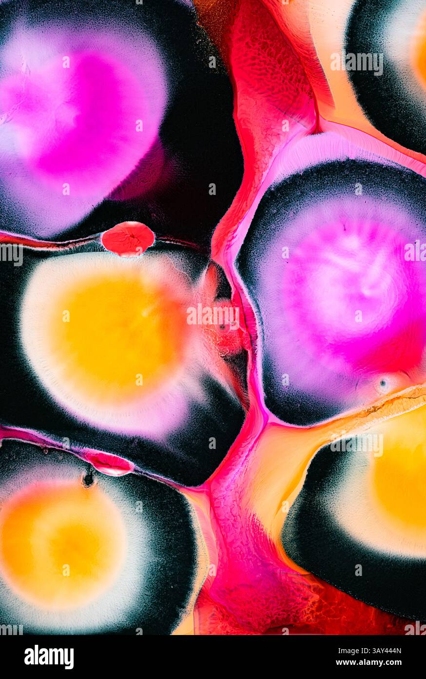 Featuring bold pink forms hi-res stock photography and images - Alamy