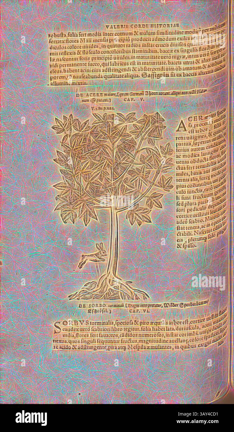 An intricate illustration of a tree with detailed roots and branches is ...