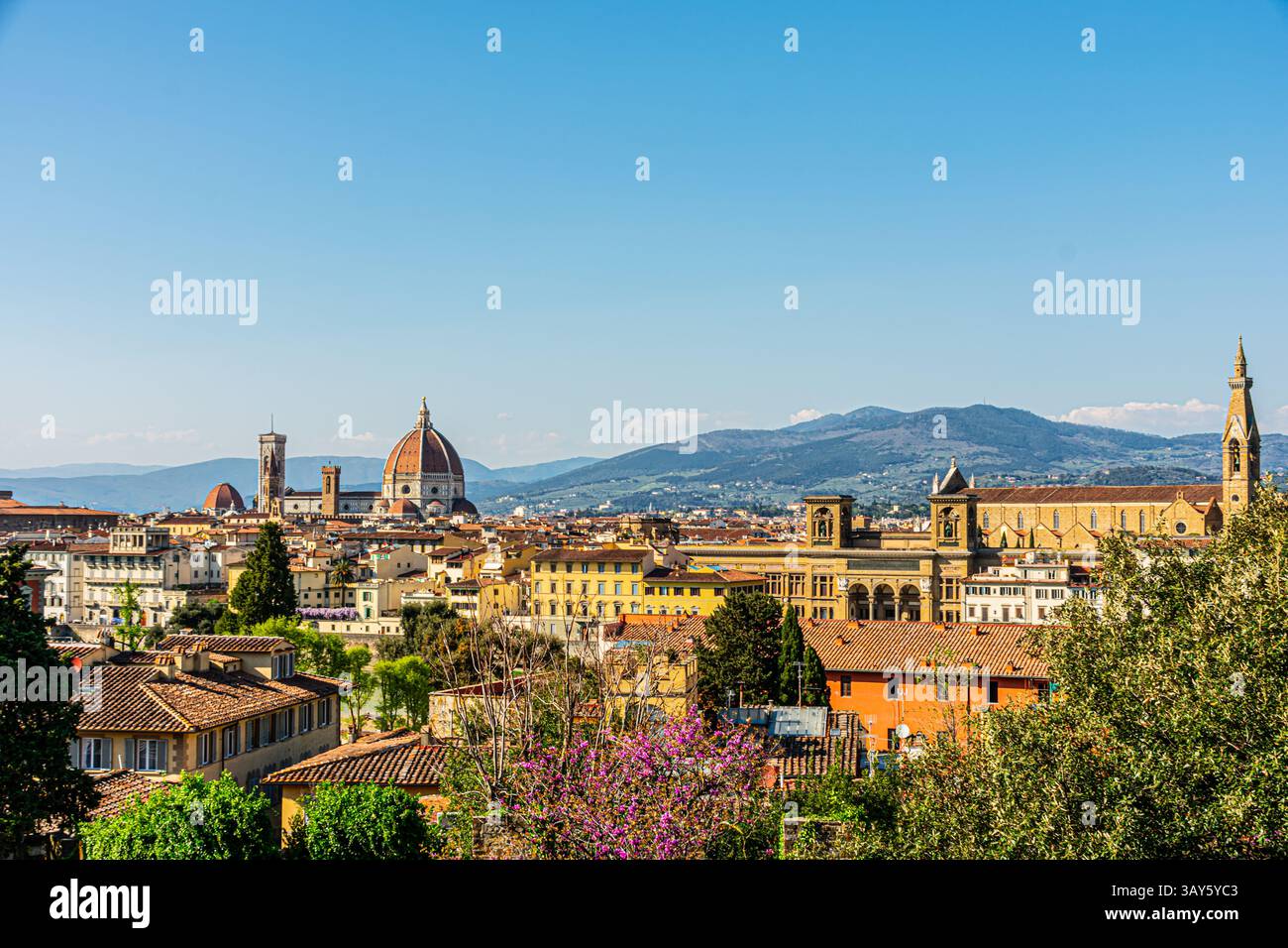 A panoramic view of Florence highlights its historic centre, featuring the iconic dome of the Duomo and Giotto's Bell Tower. Stock Photo