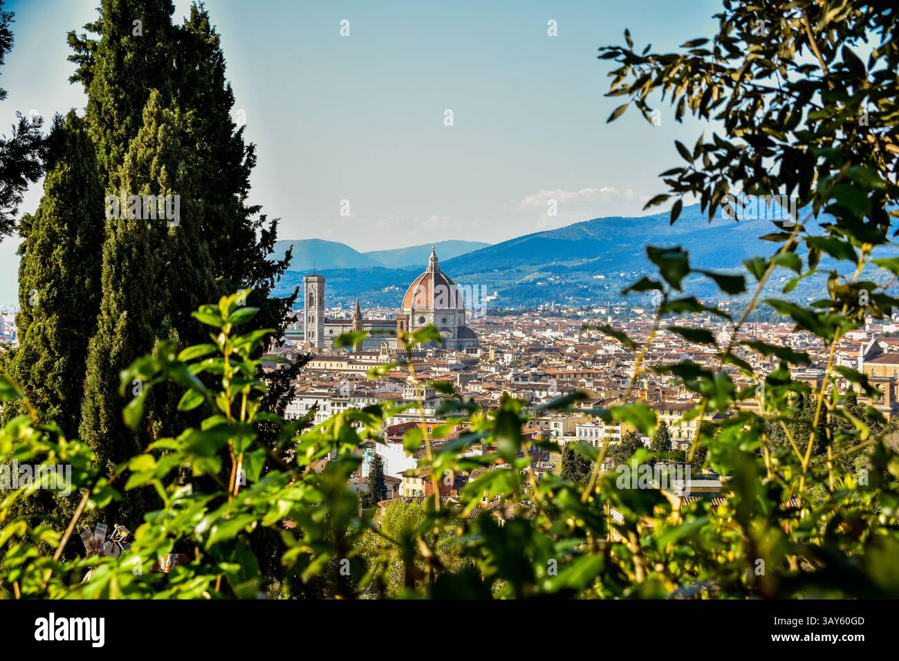 Panoramic view of Florence with the iconic Duomo seen from a scenic viewpoint framed by trees. A timeless Tuscan skyline rich in history and beauty. Stock Photo