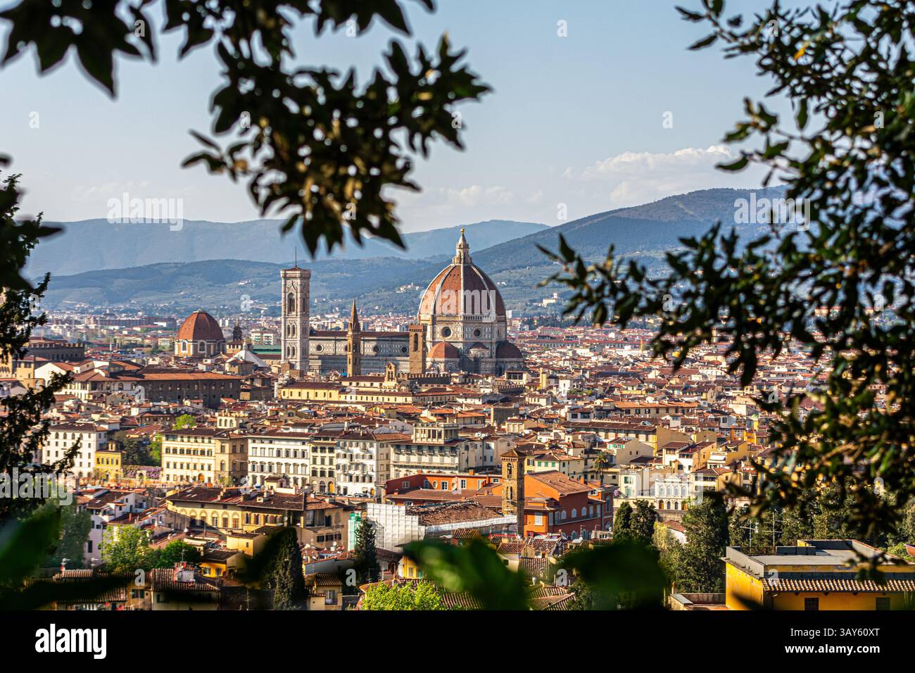 Panoramic view of Florence with the iconic Duomo seen from a scenic viewpoint framed by trees. A timeless Tuscan skyline rich in history and beauty. Stock Photo