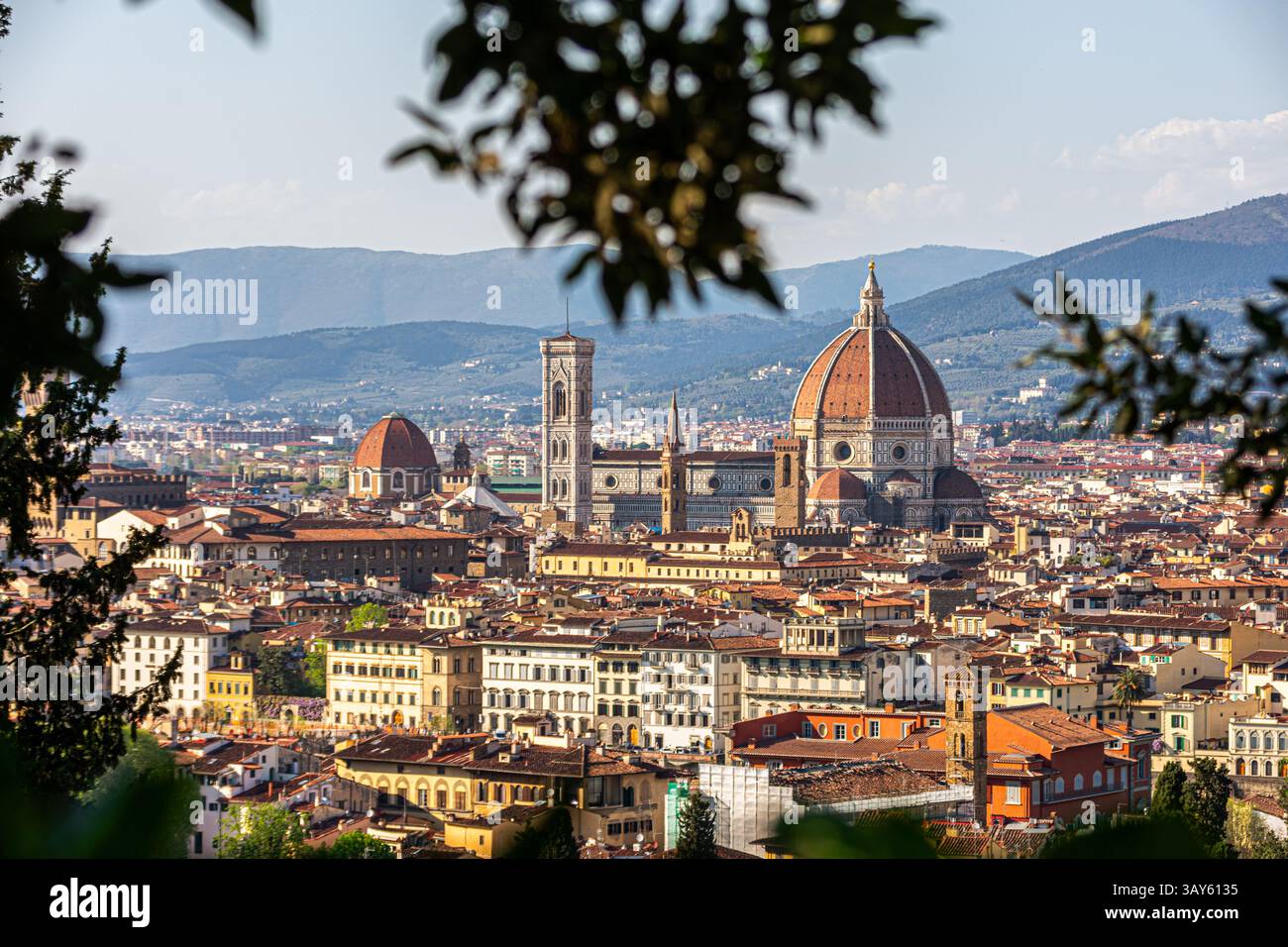 Panoramic view of Florence with the iconic Duomo seen from a scenic viewpoint framed by trees. A timeless Tuscan skyline rich in history and beauty. Stock Photo