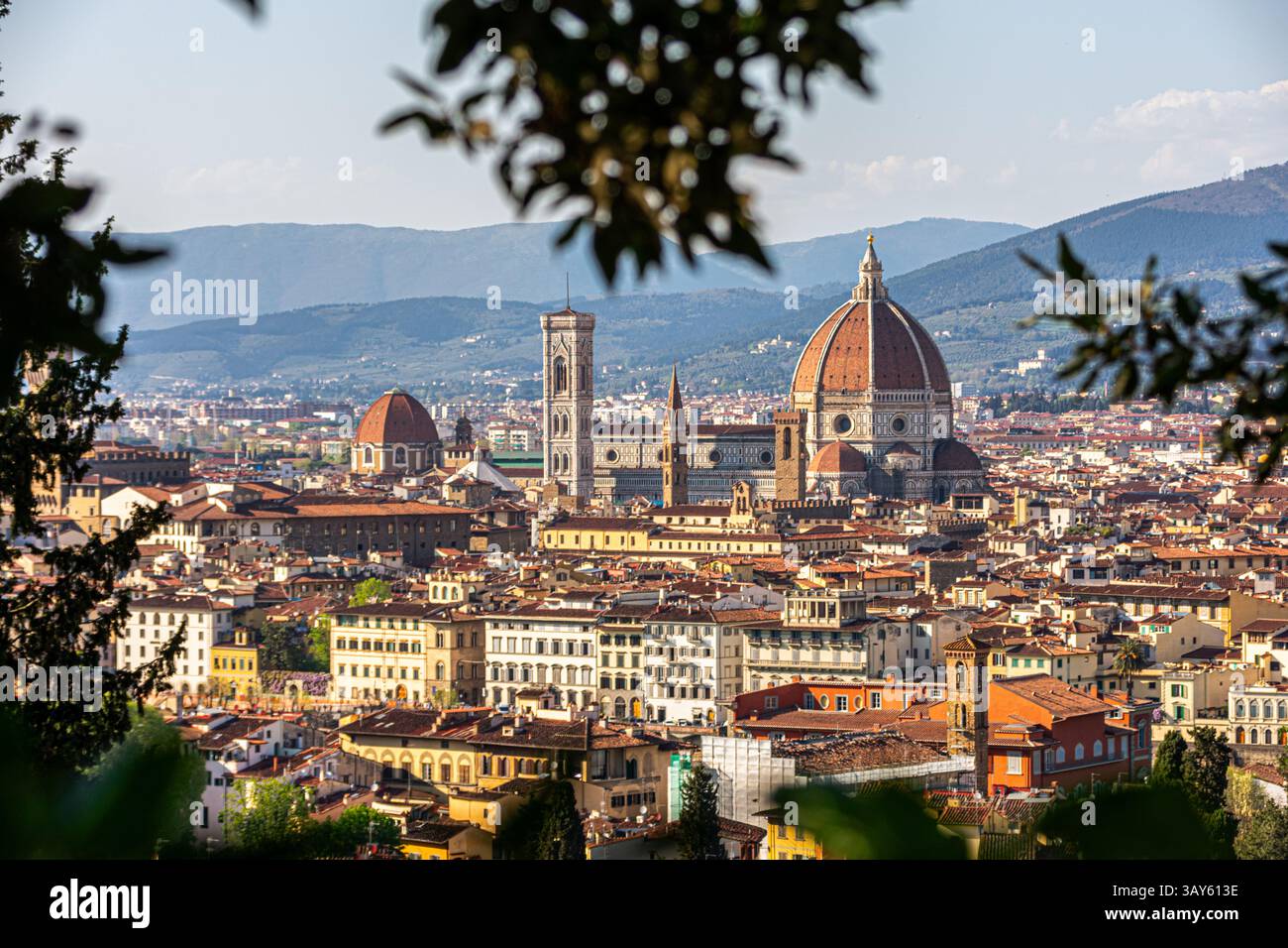 Panoramic view of Florence with the iconic Duomo seen from a scenic viewpoint framed by trees. A timeless Tuscan skyline rich in history and beauty. Stock Photo