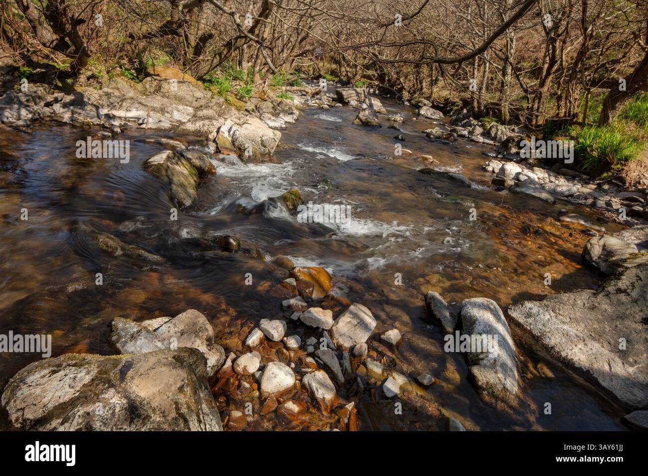 Along the the circular Heddon River walk in Heddon Valley National Trust Park, Near Parracombe, Barnstaple, Devon, England. wholesome, organisation, Stock Photo