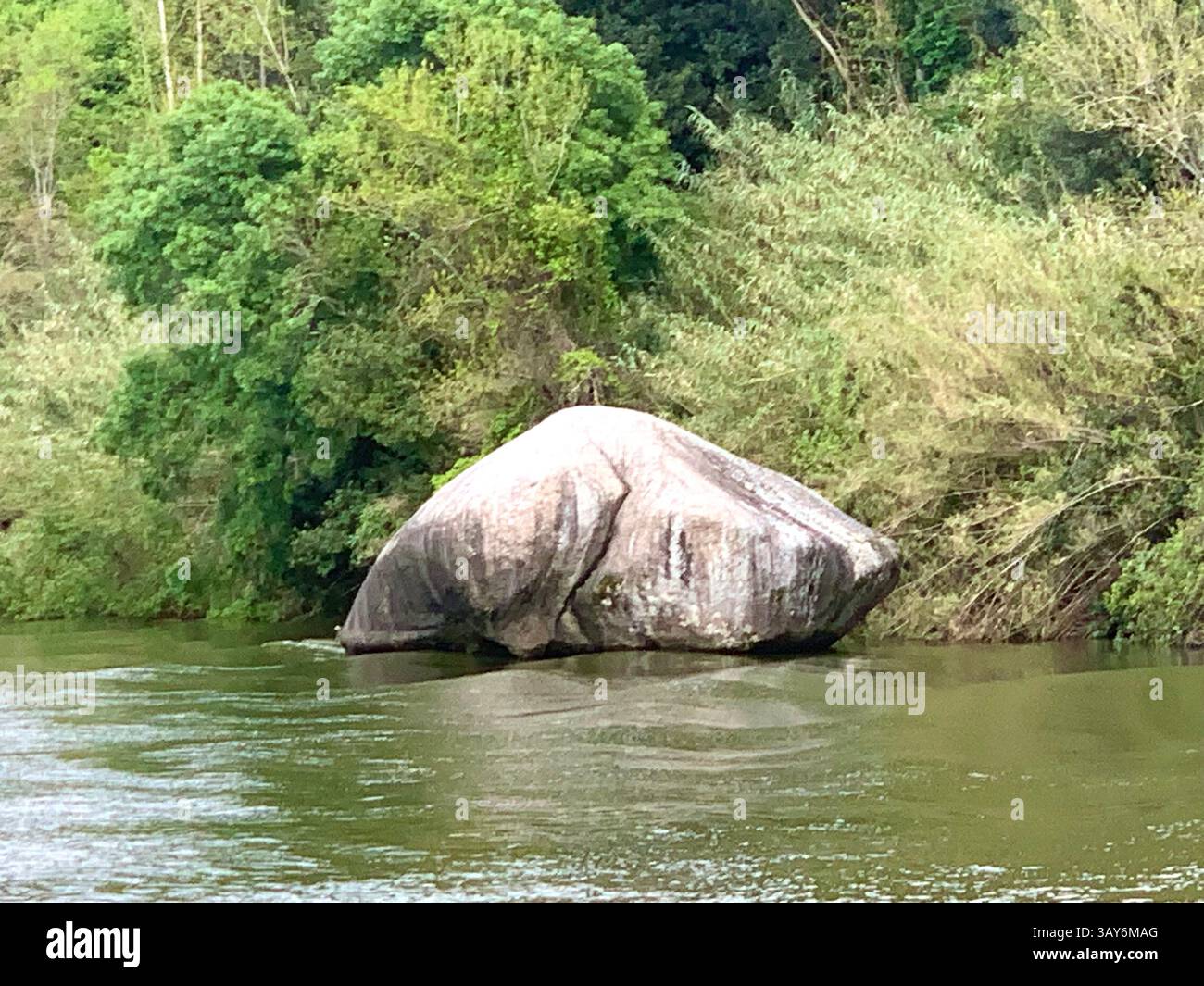 Doro Portugal river cruise cruising ship mist fog land Porto fields wine port water lake land landscape vineyard vineyards grapes grape vines trees - Smartphone Captured Stock Image