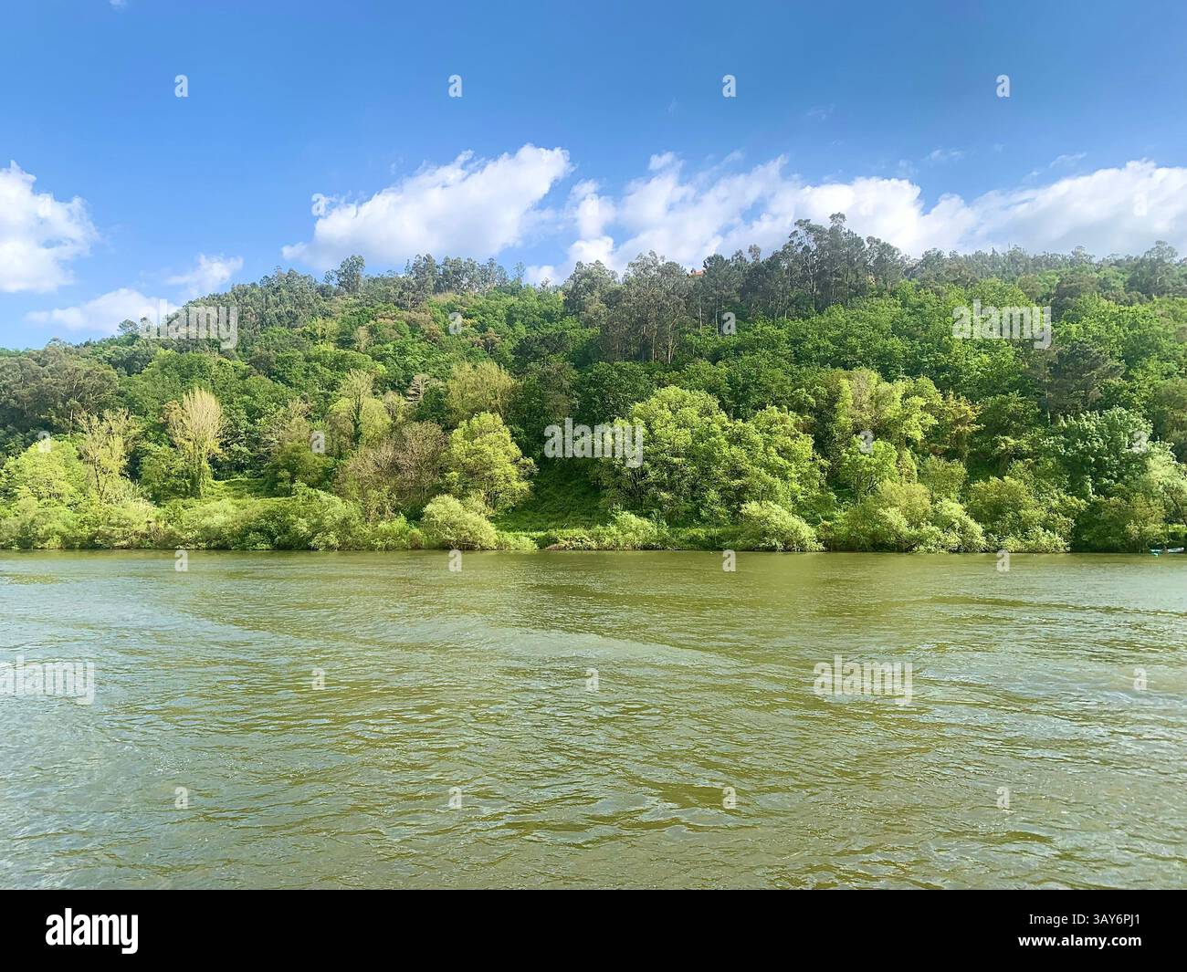 Doro Portugal river cruise cruising ship mist fog land Porto fields wine port water lake land landscape vineyard vineyards grapes grape vines trees - Smartphone Captured Stock Image