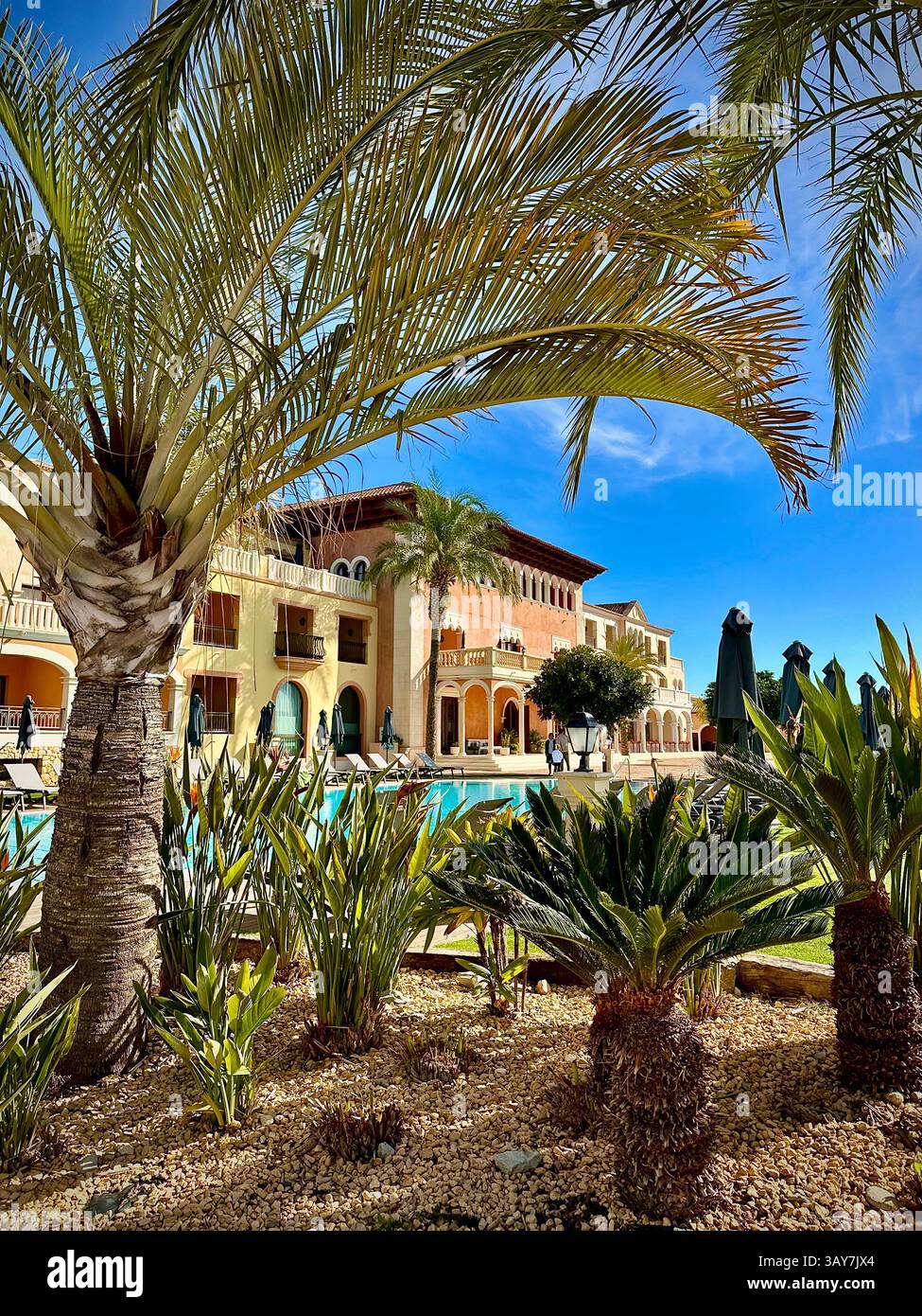 This image shows a calm resort pool framed by tall palm trees and tropical landscaping. In the background, a light-colored resort building with balcon - Smartphone Captured Stock Image