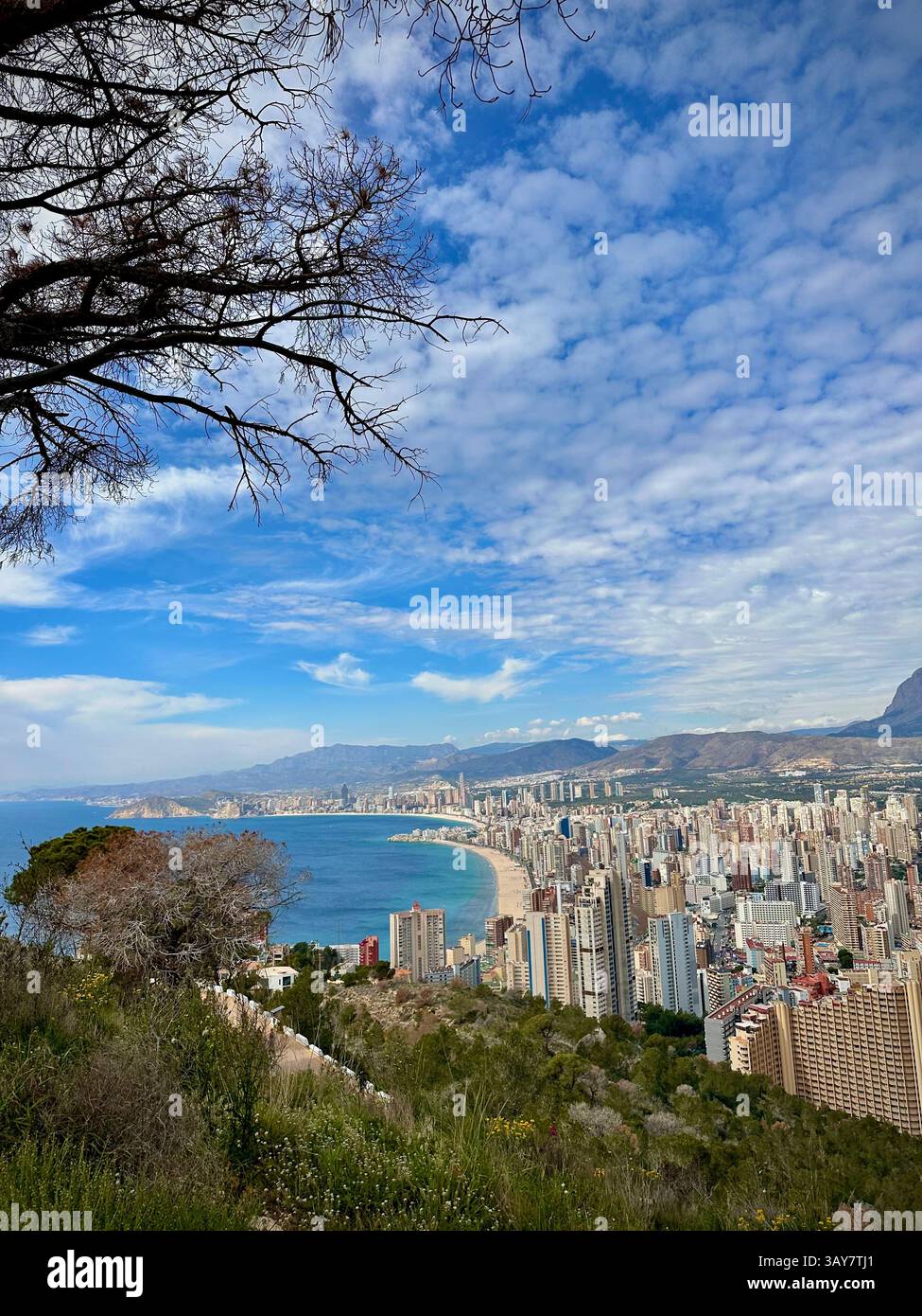 An expansive view of a vibrant coastal city stretching along the bay, with high-rise buildings hugging the golden beach. The calm sea meets a dynamic - Smartphone Captured Stock Image